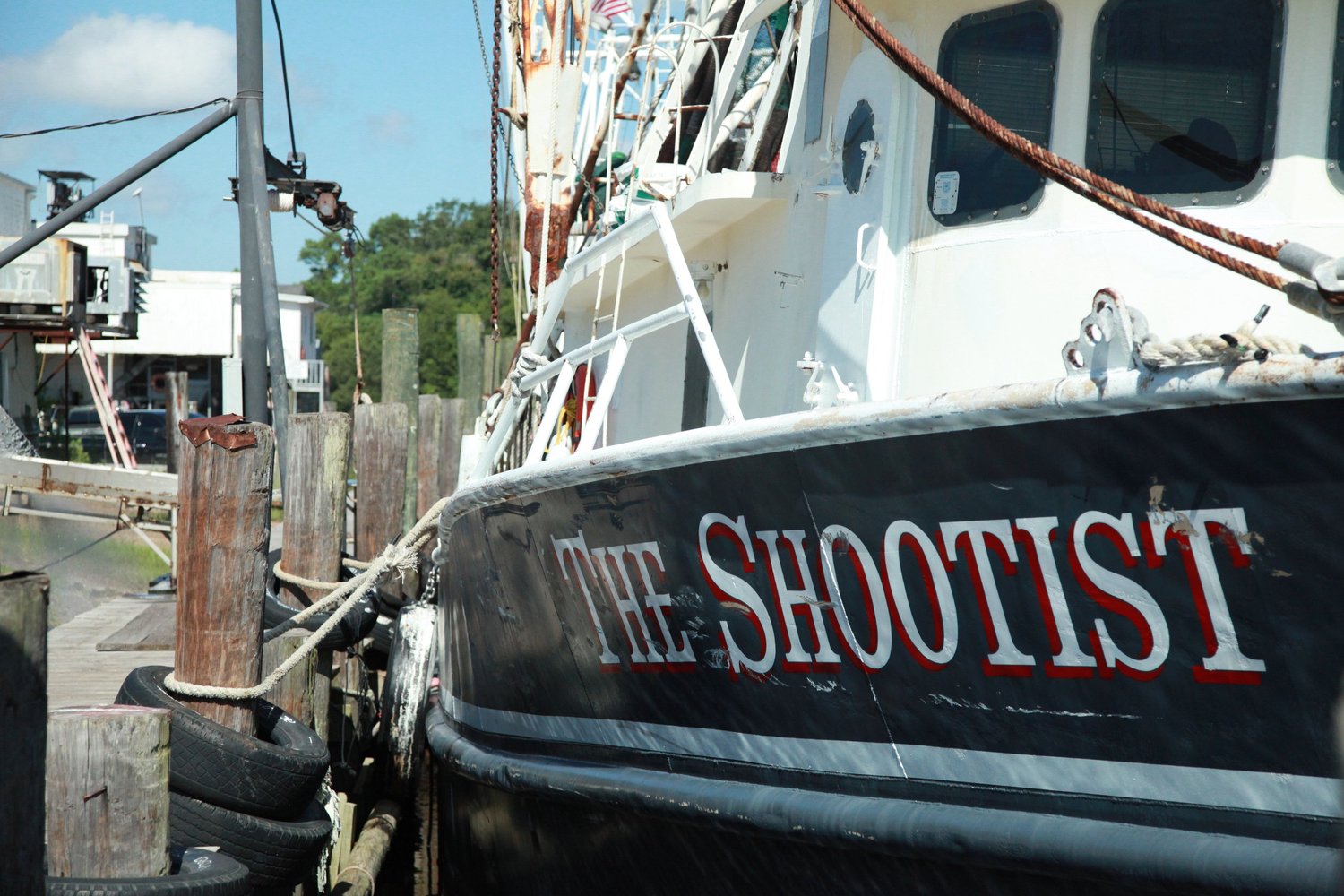 Raising Awareness About Gulf Coast Conservation, project visual